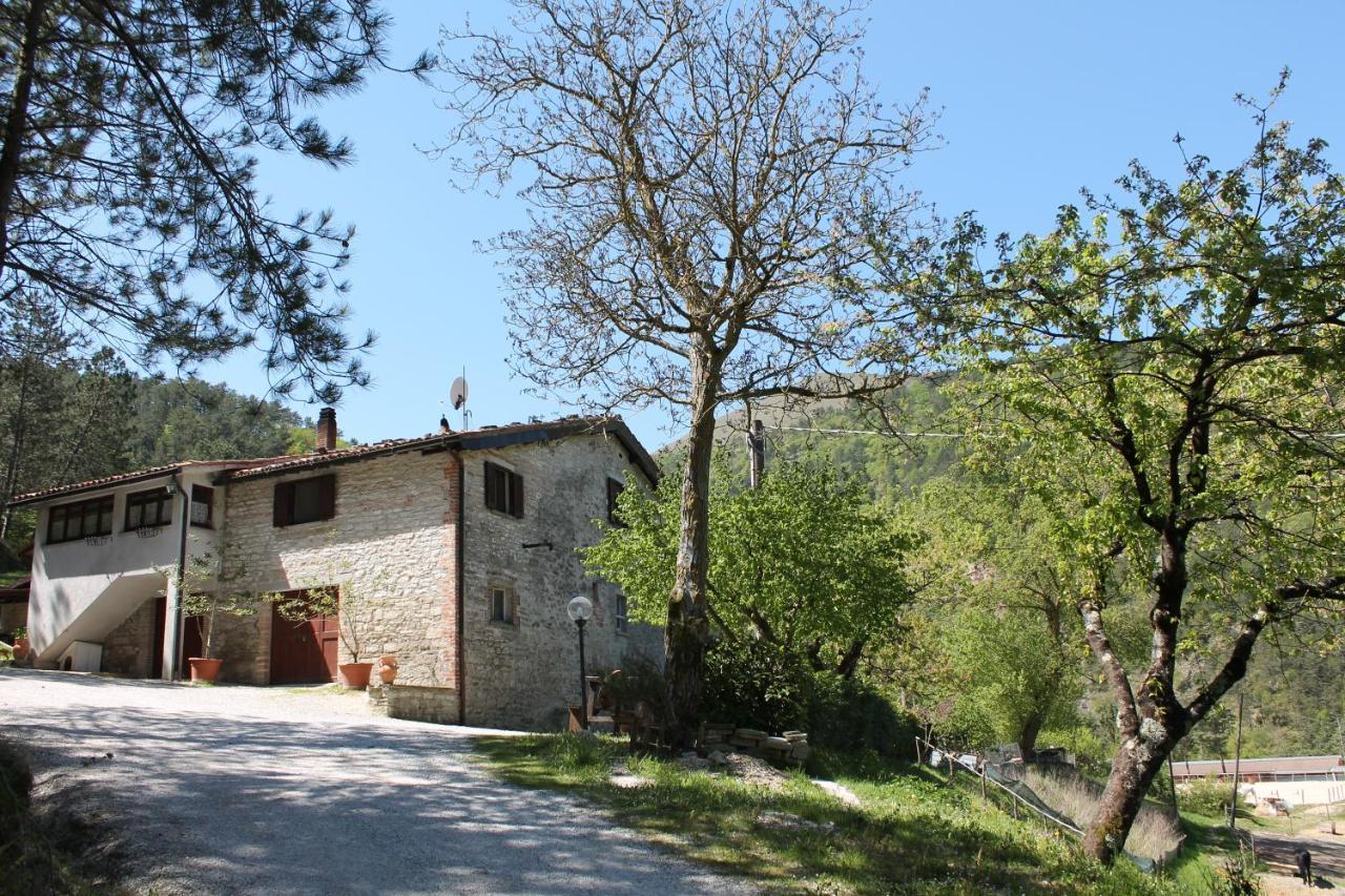 B&B Paradiso Gubbio Luaran gambar